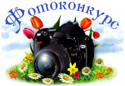 Итоги Фотоконкурса &laquo;Мгновения природы&raquo;